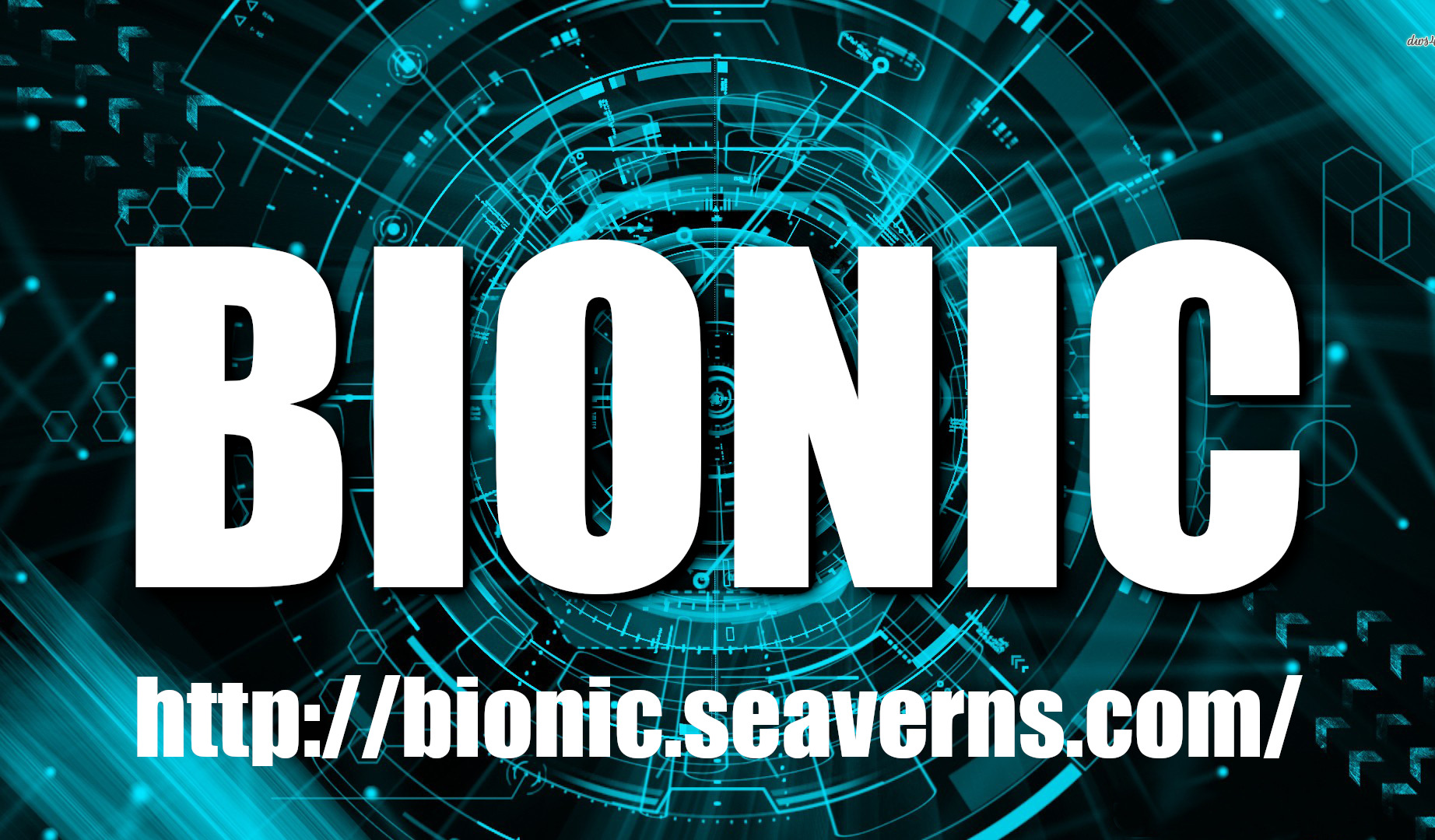 Bionic Backdrop Version 1.2.1 - SEAVERNS.COM 2024
